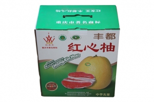 身邊常常出現塑料袋承重不行問題，你有真正了解過嗎